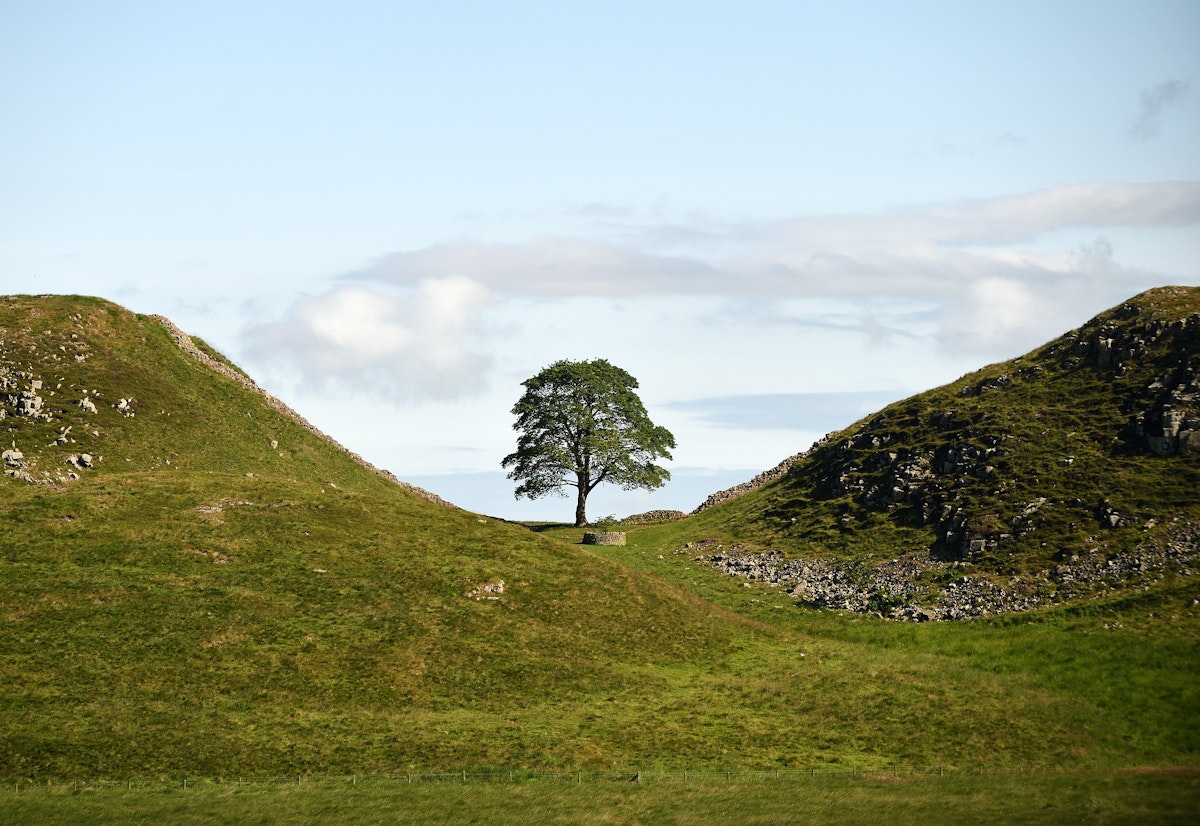View towards the Sycamore Gap Tree on Hadrian's Wall in Northumberland before it was illegally felled in September 2023